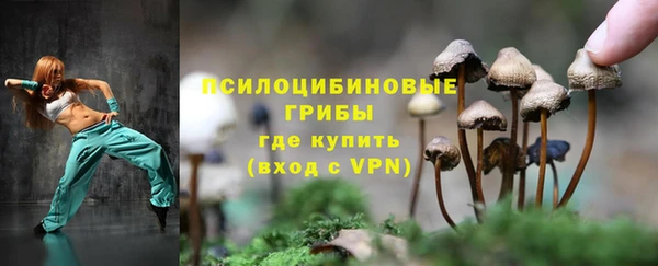 а пвп мука Дмитровск